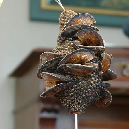 Ferienhaus Alte Liebe Wieck