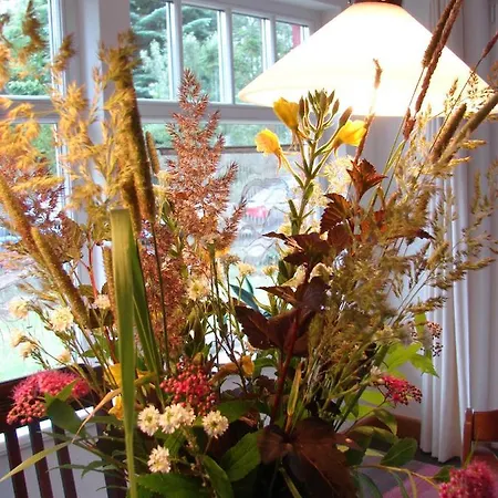 Ferienhaus Alte Liebe Hotel *