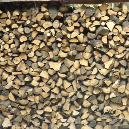 Hotel Ferienhaus Alte Liebe Wieck